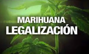 Legalizacion marihuana