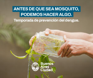 Vacuna dengue