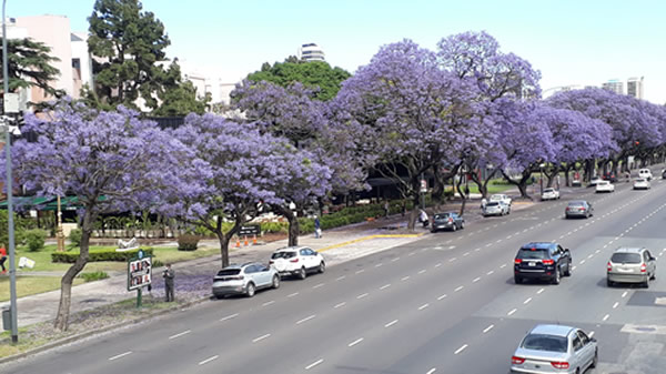 Avenida Figueroa Alcorta