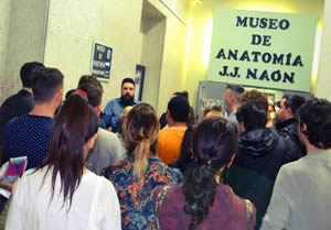 Museo de anatomia