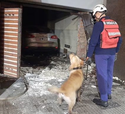 Perros rescatistas