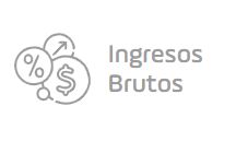 Ingresos Brutos