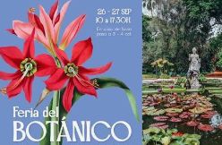Feria del Bot�nico